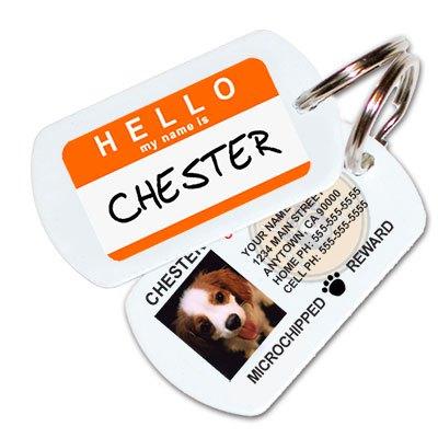 hello-orange-pet-id-tag-med