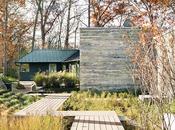 Impressive Backyard Renovations