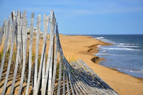 Plum Island WM