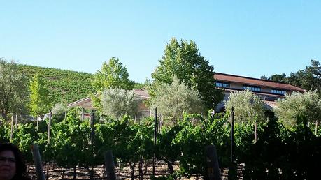 #WBC14 Paso Robles Excursion: Tablas Creek Vineyard