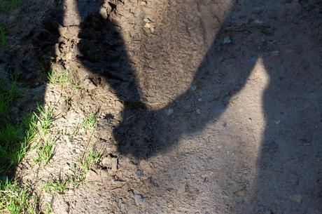 Career Confessions: Love, Work, and Breakups hands