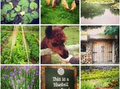 Escape Country Jimmy's Farm, Suffolk