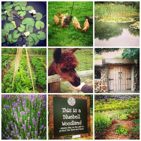 Escape To The Country : Jimmy's Farm, Suffolk