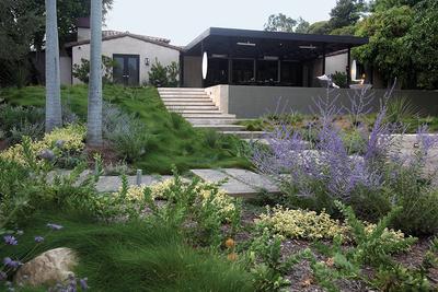 LA home with drought-resistant native plants