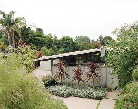 LA home with drought-resistant native plants