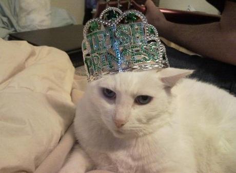 Top 10 Images of Cats Wearing a Tiara