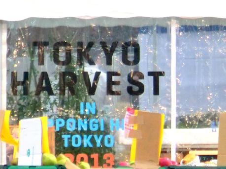 Tokyo Autumn Trip 2013: Day 2- Eggcellent/ Harajuku/ Hirata Bokujyo