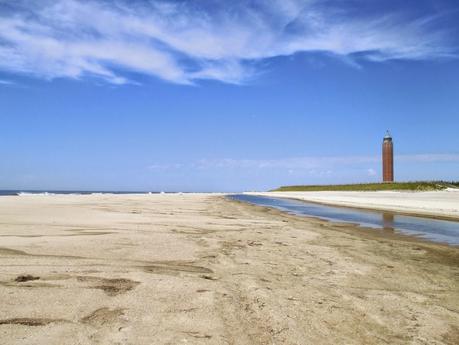 Beach Days/Robert Moses