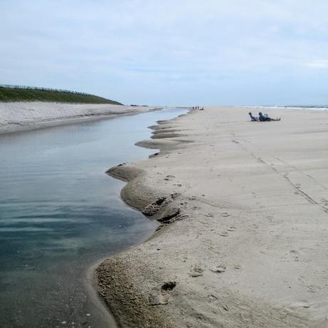 Beach Days/Robert Moses