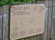 Causey Arch, Stanley, County Durham