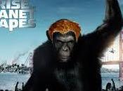 Rise Planet Apes Exclusive! Caeser Ginger!