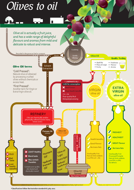 Interview with an Olive Oil Expert Infographic Screen version