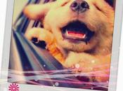 What's Making Happy...