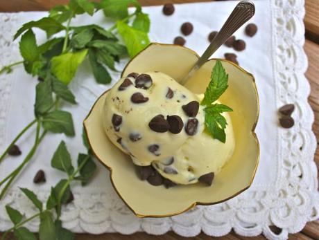 Fresh Mint Ice Cream 