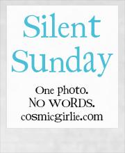 #SilentSunday 20/07/2014