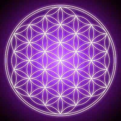 The Ancient Secret of The Flower of Life
