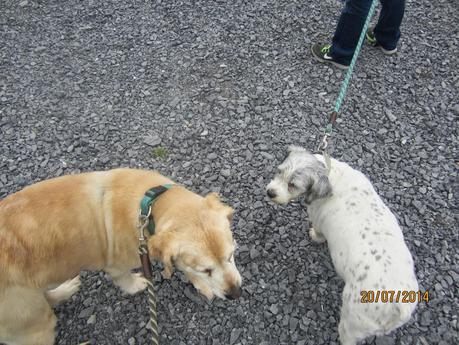 Strandhill on Sunday