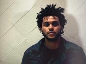 Weeknd "The King Fall"