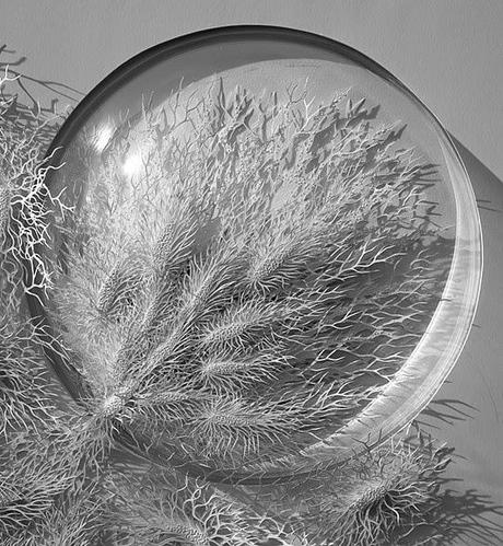 paper arts | hand cut paper microbes