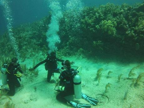 How to Become a PADI Scuba Diving Instructor