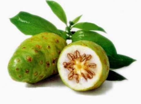 Noni fruit