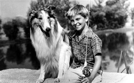 http://www.telegraph.co.uk/culture/10194478/First-Batman-then-Superman-and-now-superhero-collie-Lassie-to-be-revived.html