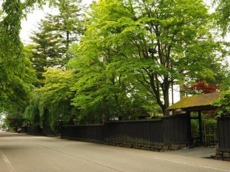 P6110082 新緑に萌ゆる角館　/ Kakunodate, verdant samurai residences