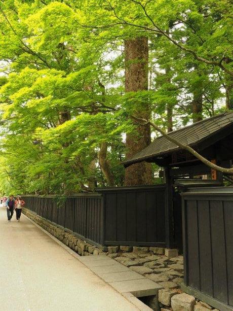 新緑に萌ゆる角館 / Kakunodate, verdant samurai residences P6110010 新緑に萌ゆる角館 / Kakunodate, verdant samurai residences