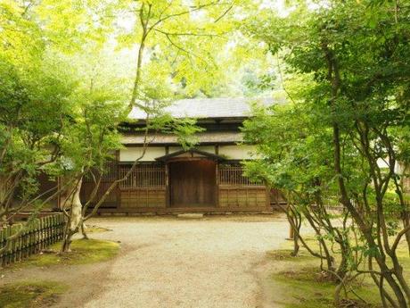 P6110014 新緑に萌ゆる角館　/ Kakunodate, verdant samurai residences