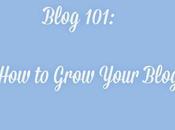 Blog 101: Grow Your