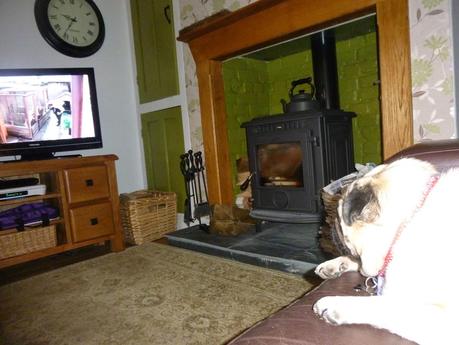 Suky's Favourite Programme