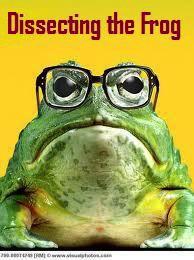 Frog with Glasses