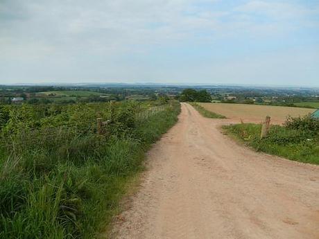 Quantock Greenway South (Part 2)