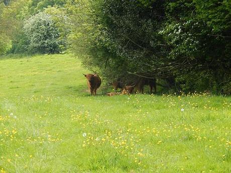 Quantock Greenway South (Part 2)