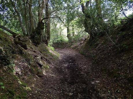 Quantock Greenway South (Part 2)