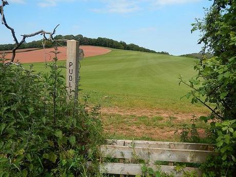 Quantock Greenway South (Part 2)