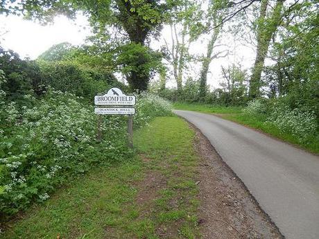 Quantock Greenway South (Part 2)