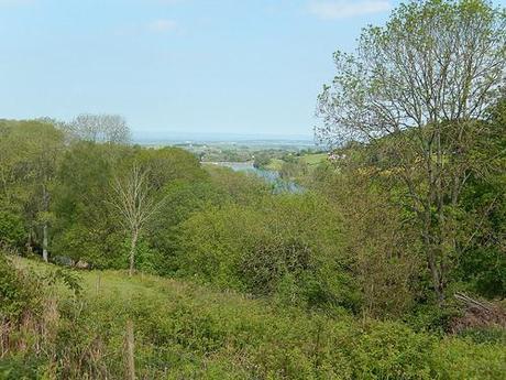 Quantock Greenway South (Part 2)