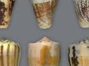 Need Save Wildlife Ourselves