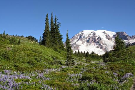 EPA's Emissions Target for Washington is Right On Target