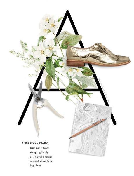 By SARAH D. TOLZMANN 