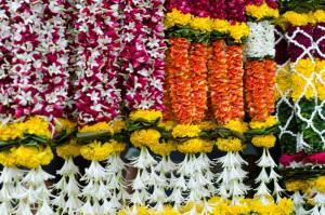 flowers1