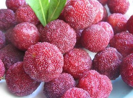 Top 10 Strange, Rare and Unusual Strawberries