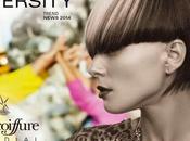 Intercoiffure Mondial: Diversity Inspired Hair Fashion 2014