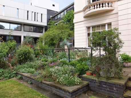 The Royal College of Physicians Garden