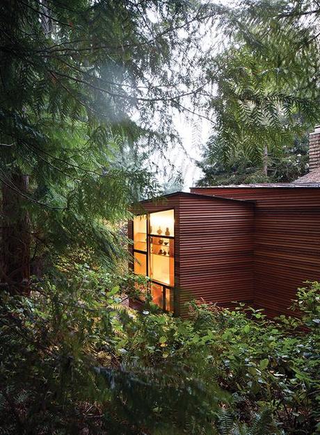 Modern addition with a cedar siding facade