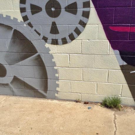 Urban Botany, Urban Art and the Instagram Effect