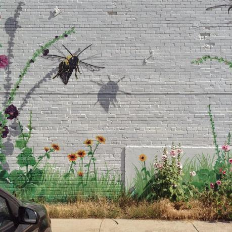 Urban Botany, Urban Art and the Instagram Effect