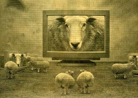 #112 Aphorism of the week: Sheeple
