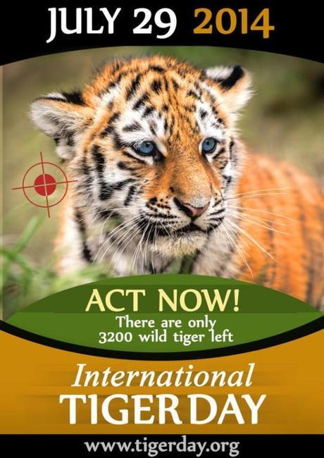 International Tiger Day